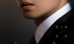 检察官电视剧,正义的守护者